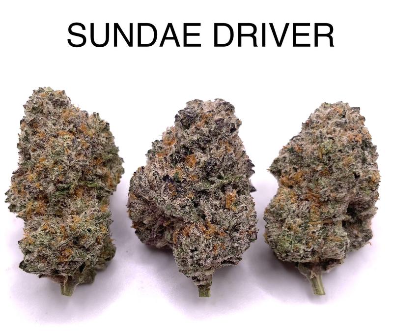 SUNDAE DRIVER