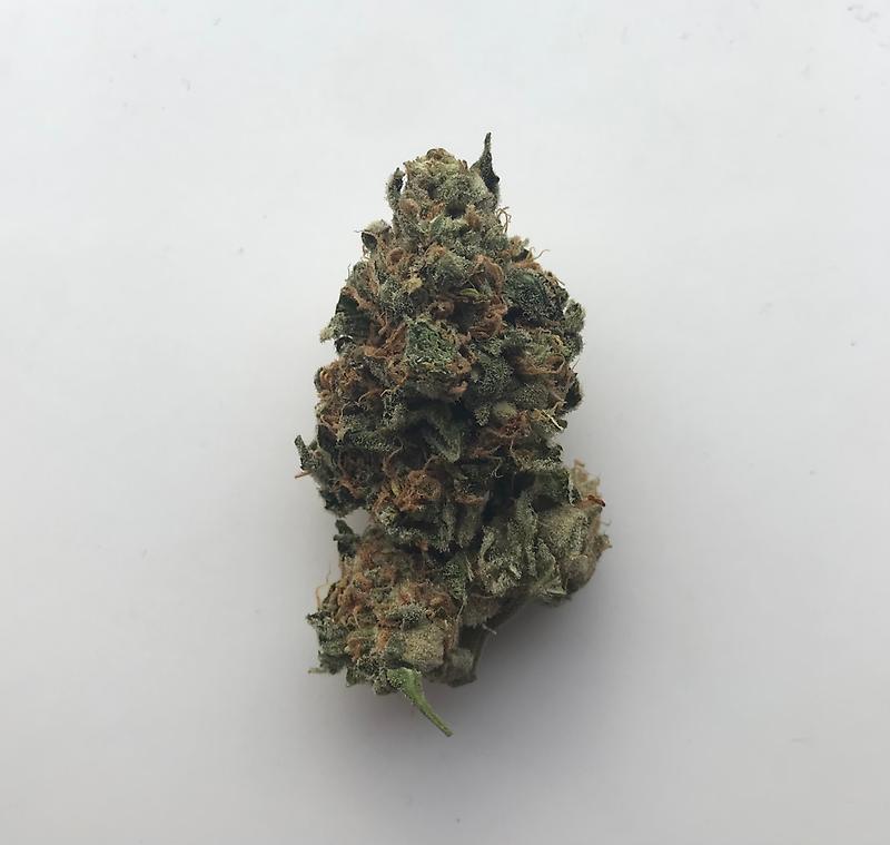 Pink alien