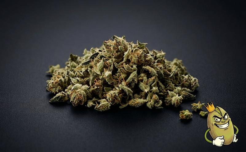 TIZER TRIM AND SHAKE - BEST SHAKE ON LITTLEBIGGY