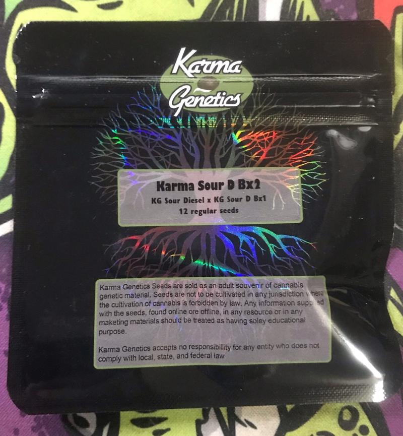 Karma Genetics
