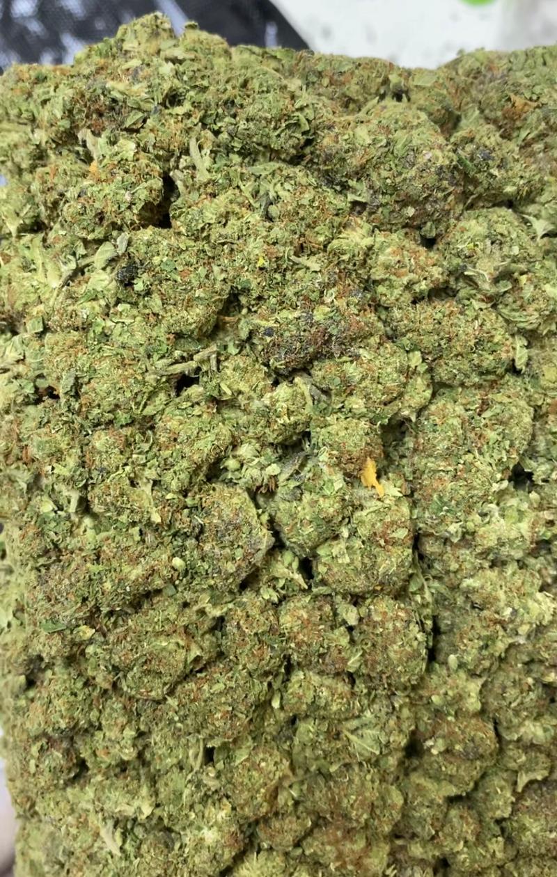 Bolo Runtz Indica (Biscotti X Sherbcake)