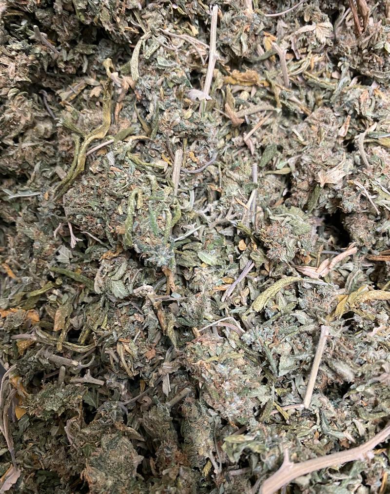 Amnesia Haze Shake - Medium Grade Quality