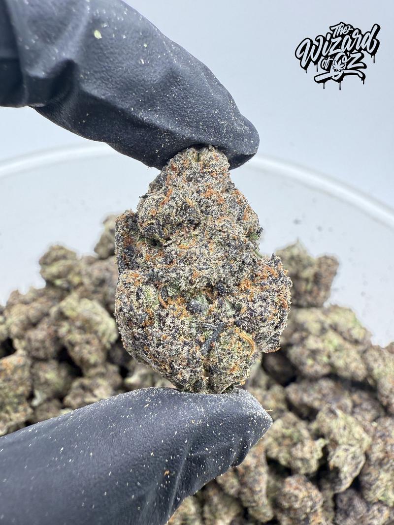 Jungle Boys Strain: Zudz