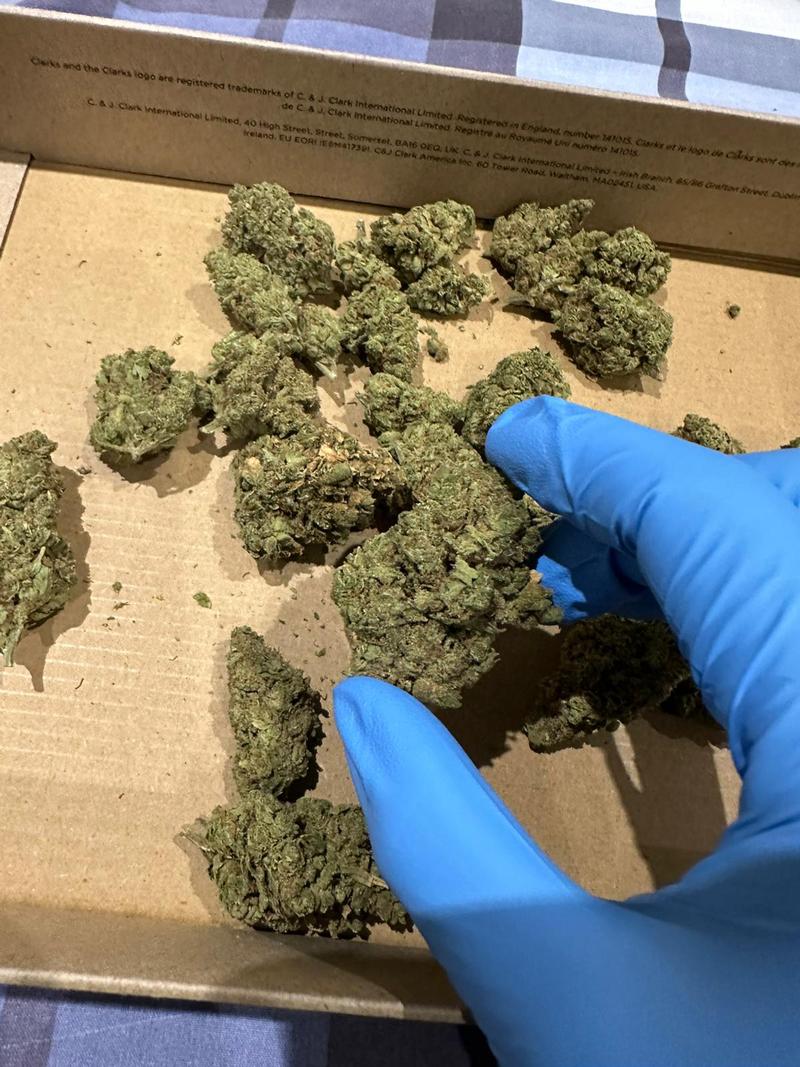 AMNESIA HAZE