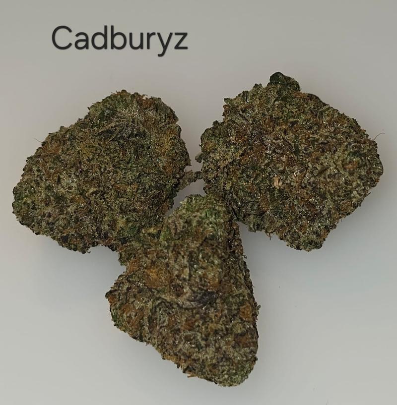 Make an oz for £160! ( Free T24 )