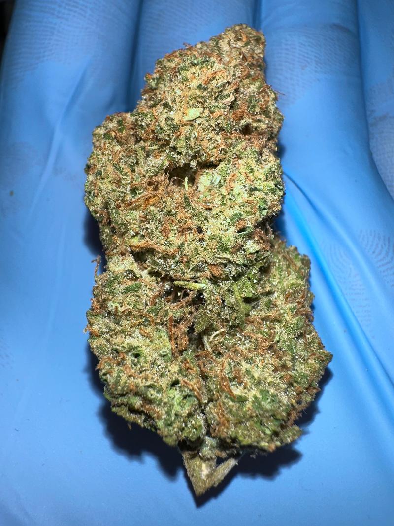 Super Silver Haze £120 oz FREE NEXT DAY DELIVERY