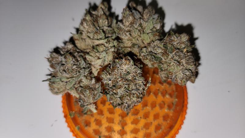 UK GROWN FLOWER