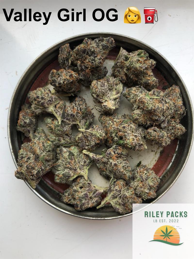 Cherry sherbet (Sunset Sherbet x Cherry cookies BX1)