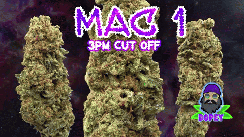 UK BUD'S