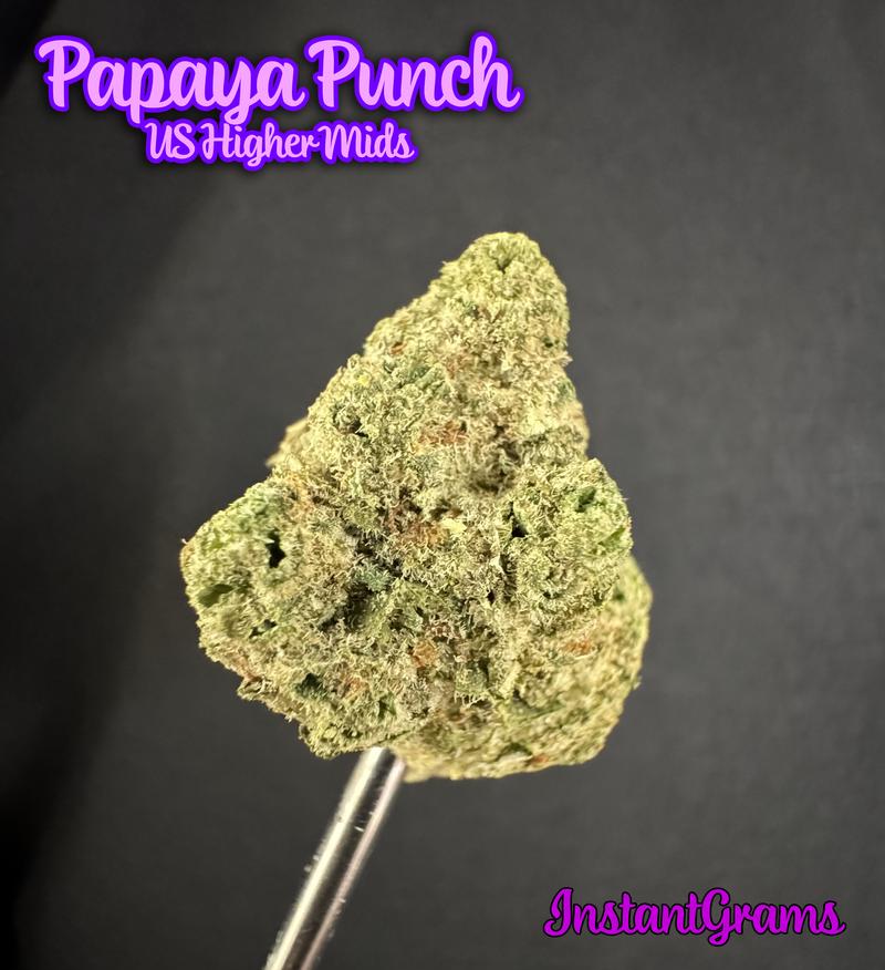 [IMPORT] 🇺🇸 Higher Mids