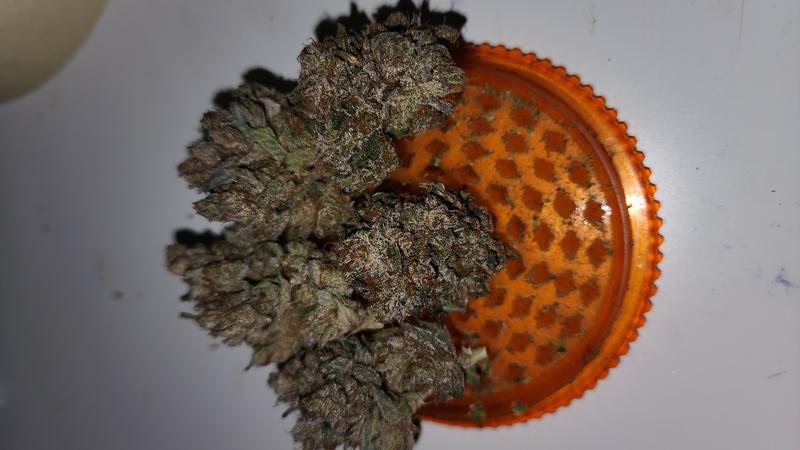 UK GROWN FLOWER