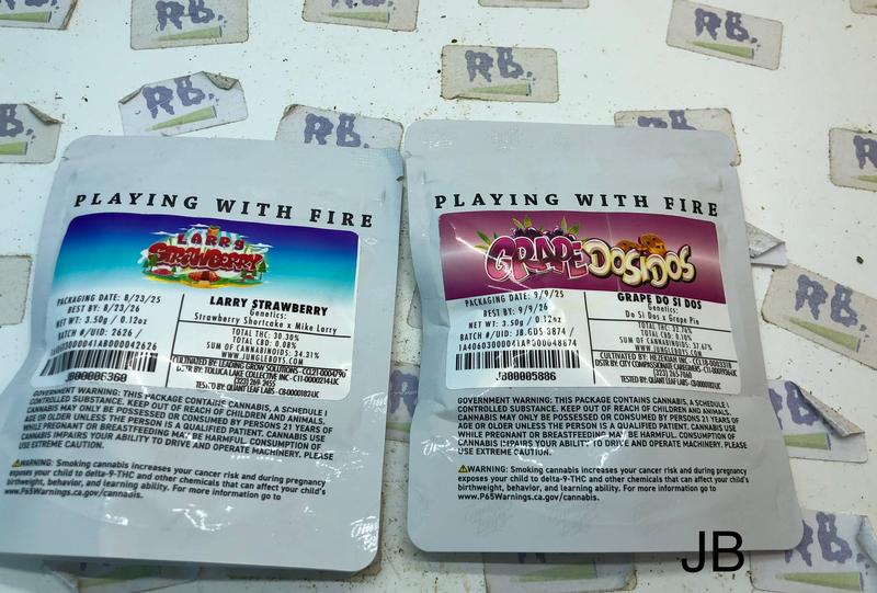 Jungle Boys Packs Free NDD Shipping