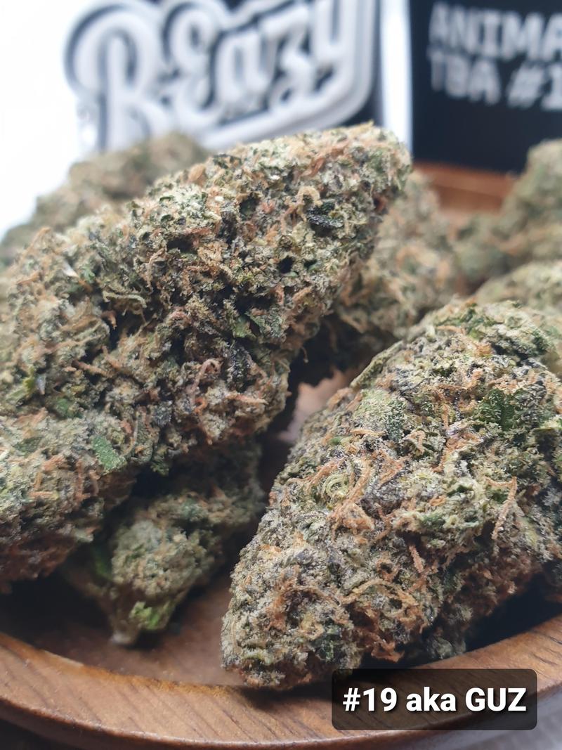 [Exclusive] Top Shelf Cali image