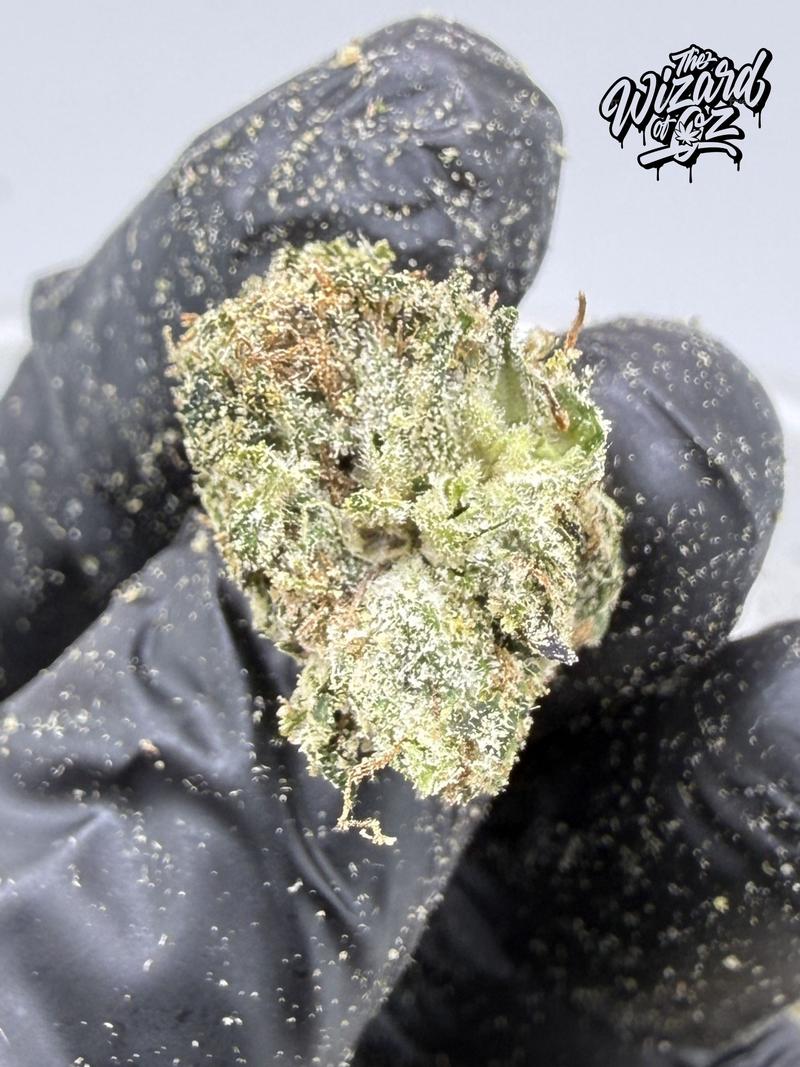 The TenCo Strain: Angels Delight