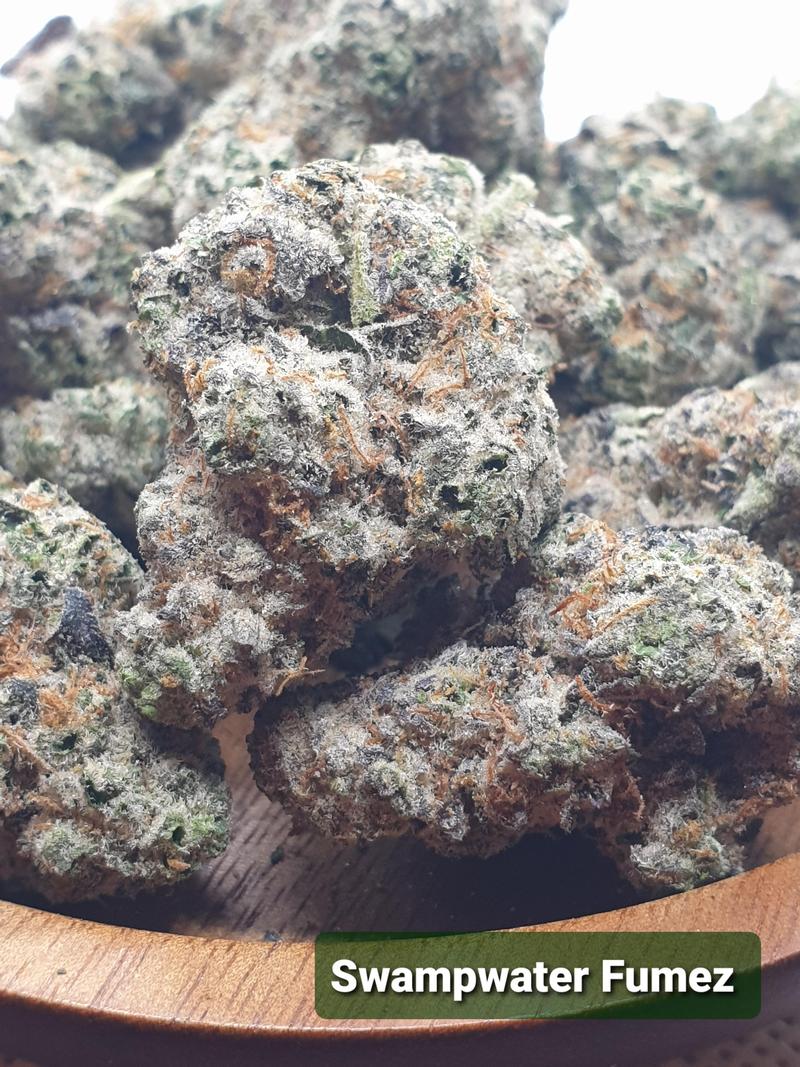 [Exclusive] Top Shelf UK