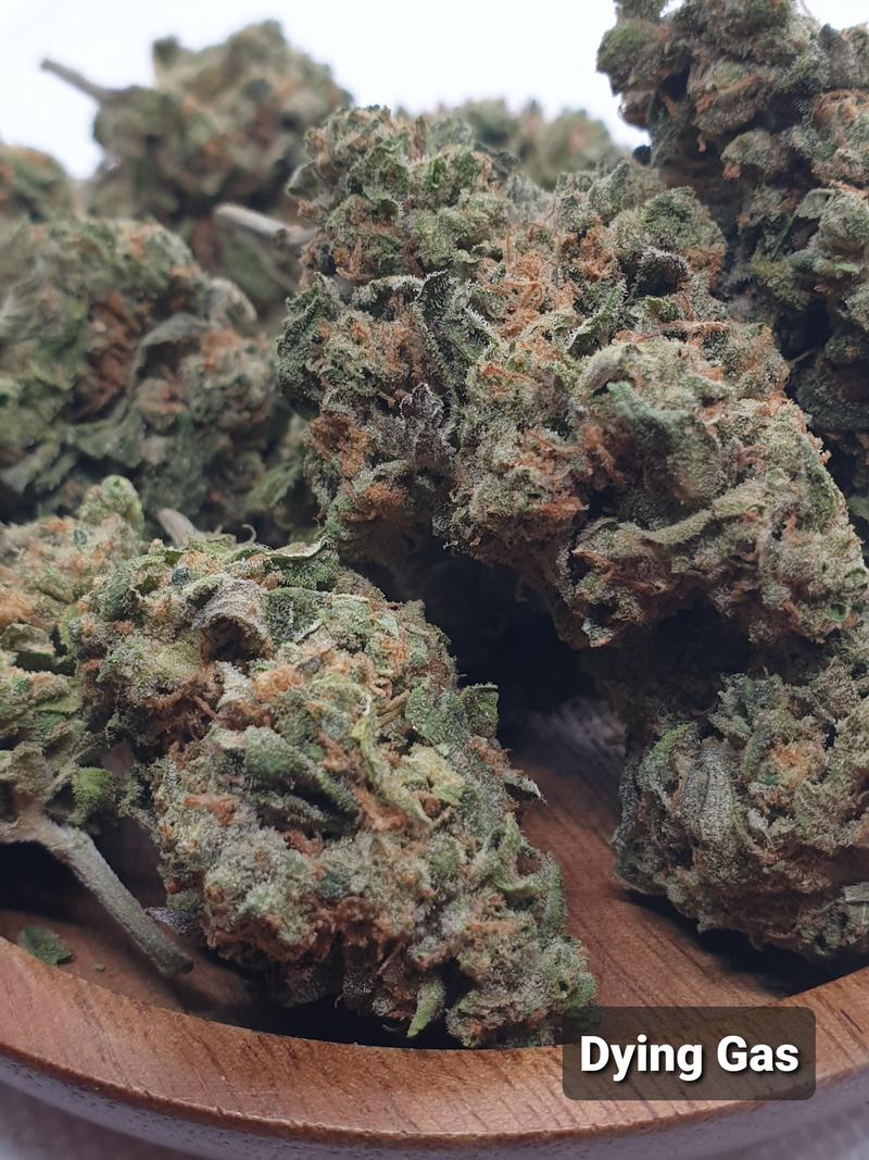 Organic living soil flower