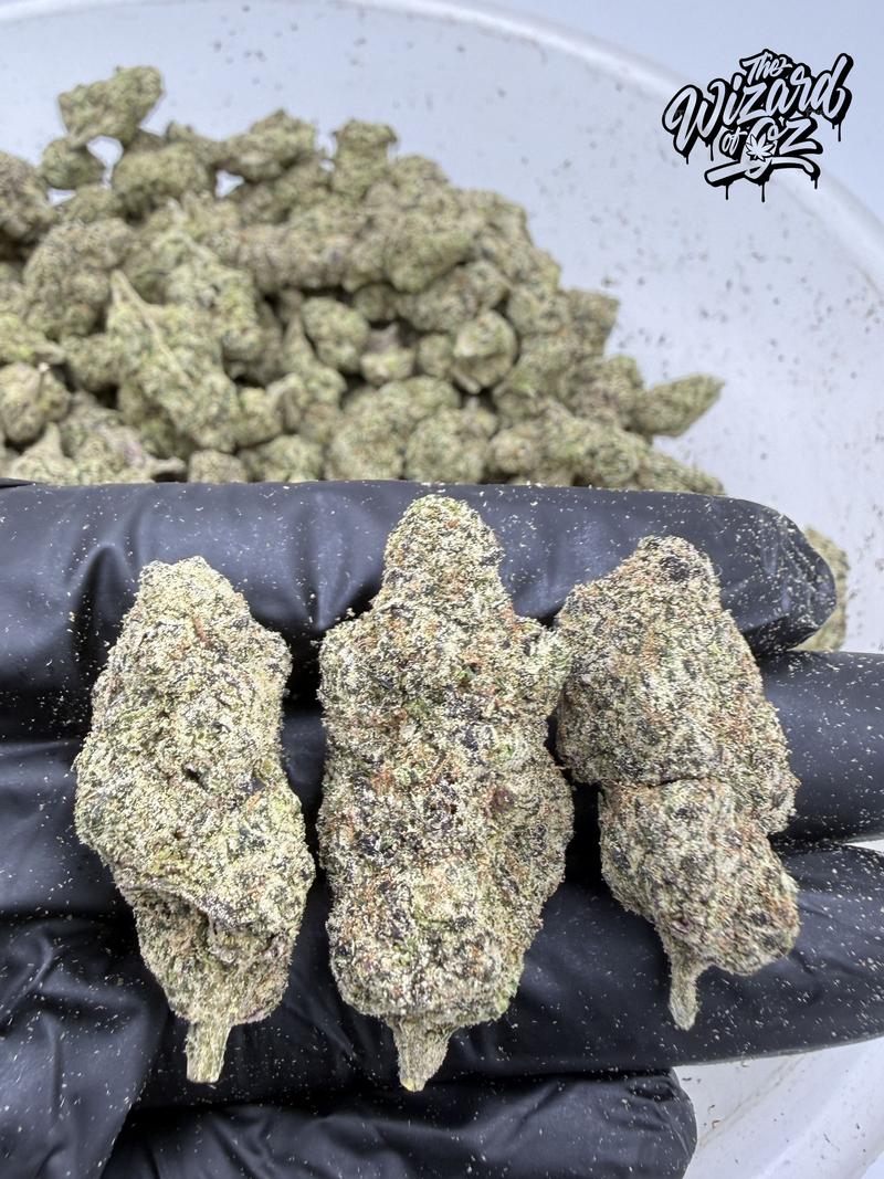The TenCo Strain: Angels Delight