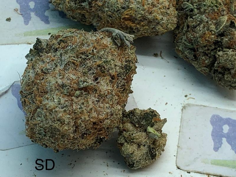 STAR DAWG GRADE A+