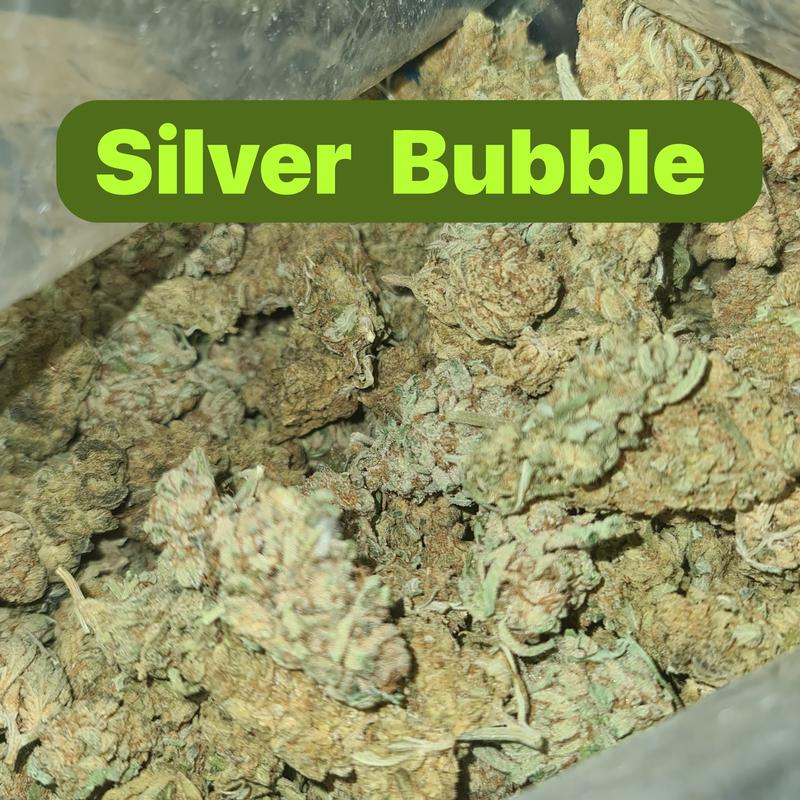 UK BUD'S