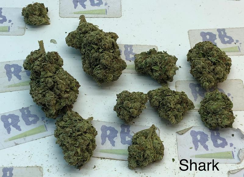 UK Exotics