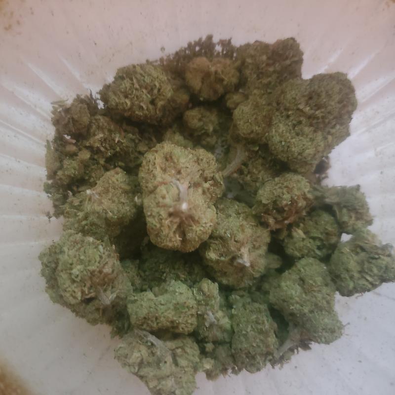 Citrus Kush (Top Shelf)