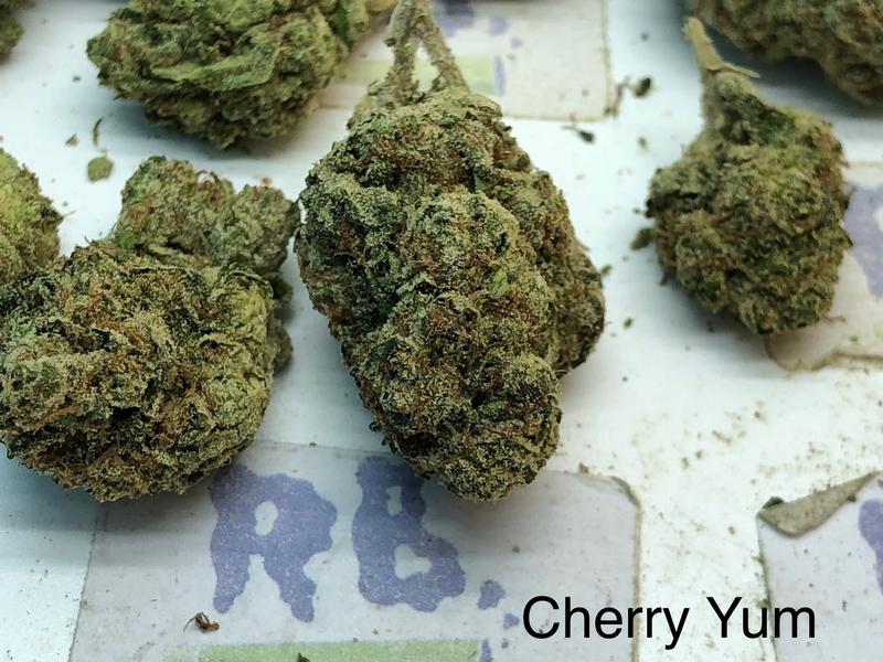 UK Exotics