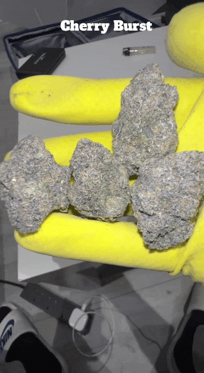 Top Shelf Exotics - Imported Loose Flower