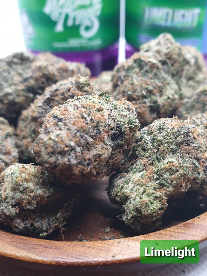 [Exclusive] Top Shelf Cali