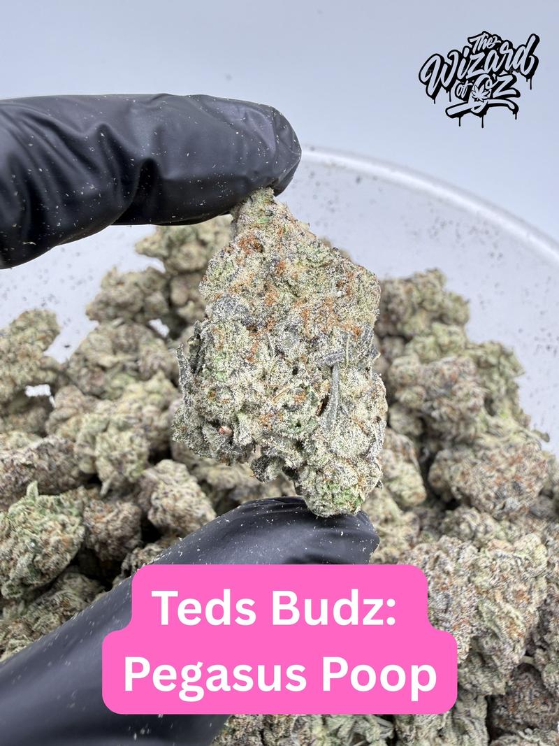 Teds Budz Strain: Pegasus Poop