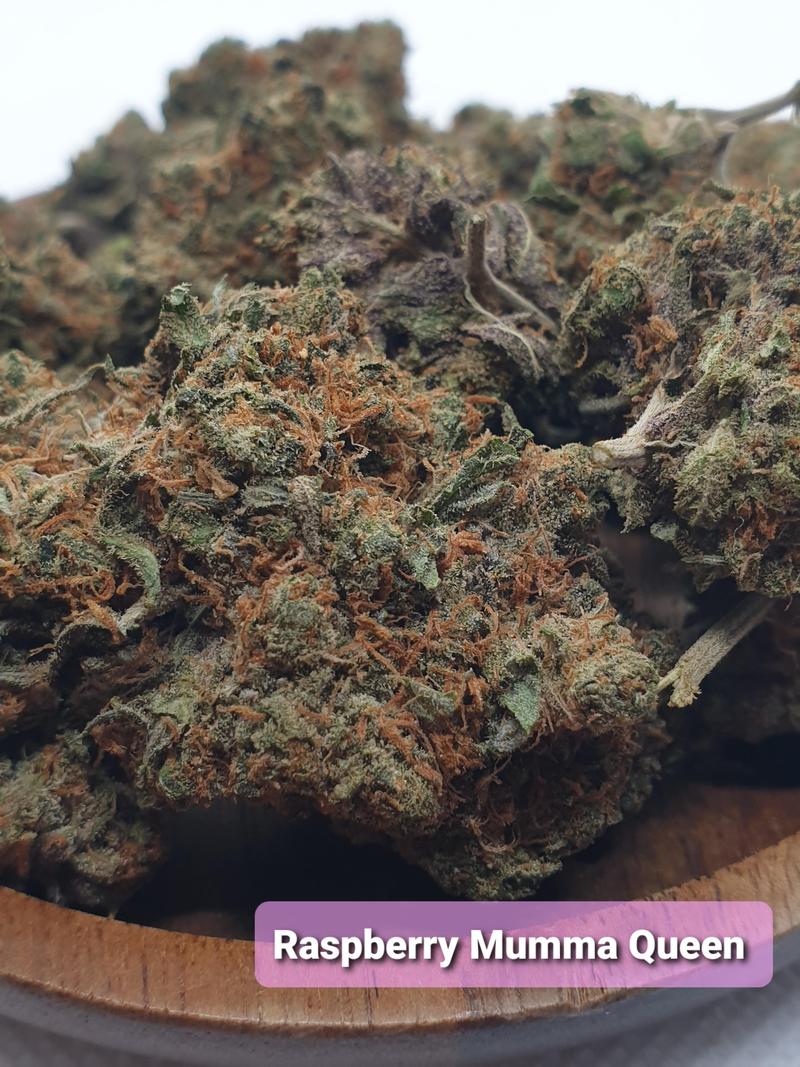 Organic living soil flower