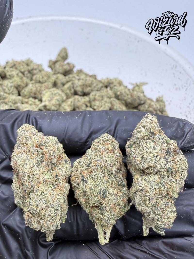 The TenCo Strain: Beni Madonna