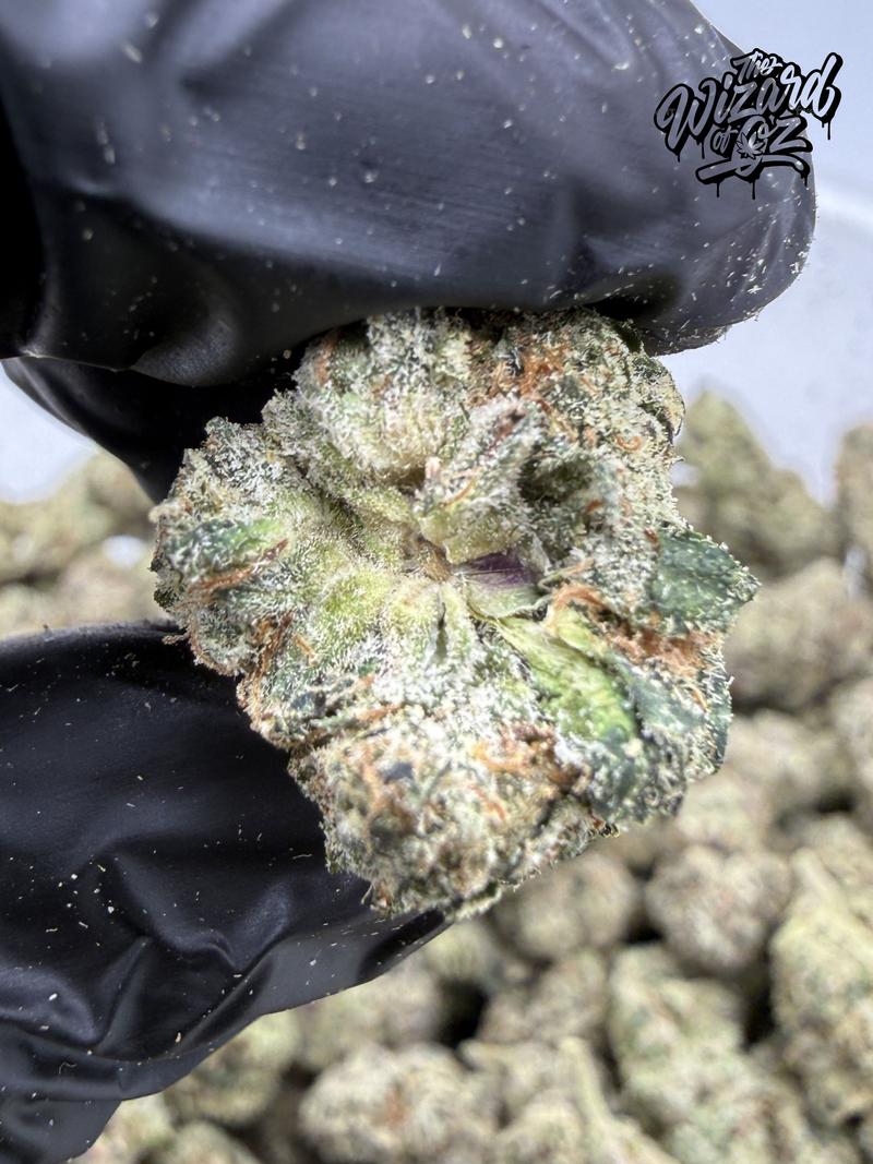 Wavvy Strain: Jokerz Candy