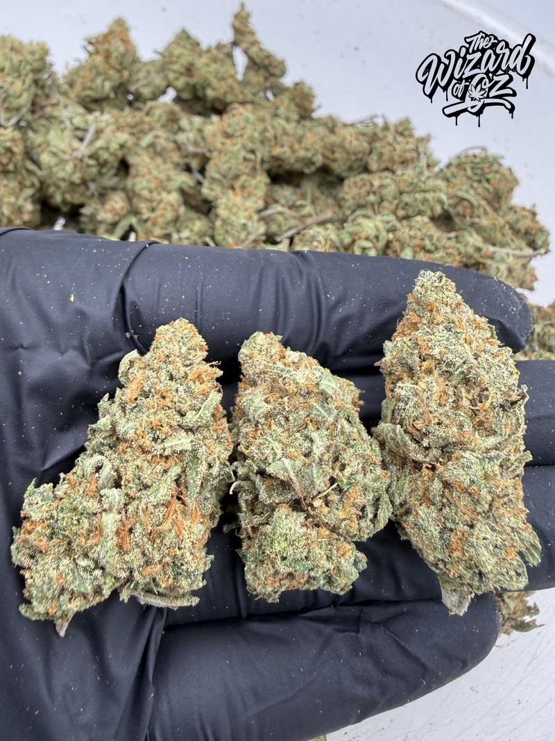 Amnesia Haze 😵‍💫🌌