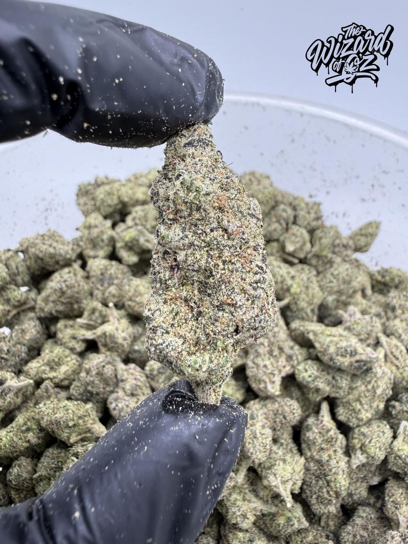 The TenCo Strain: Angels Delight