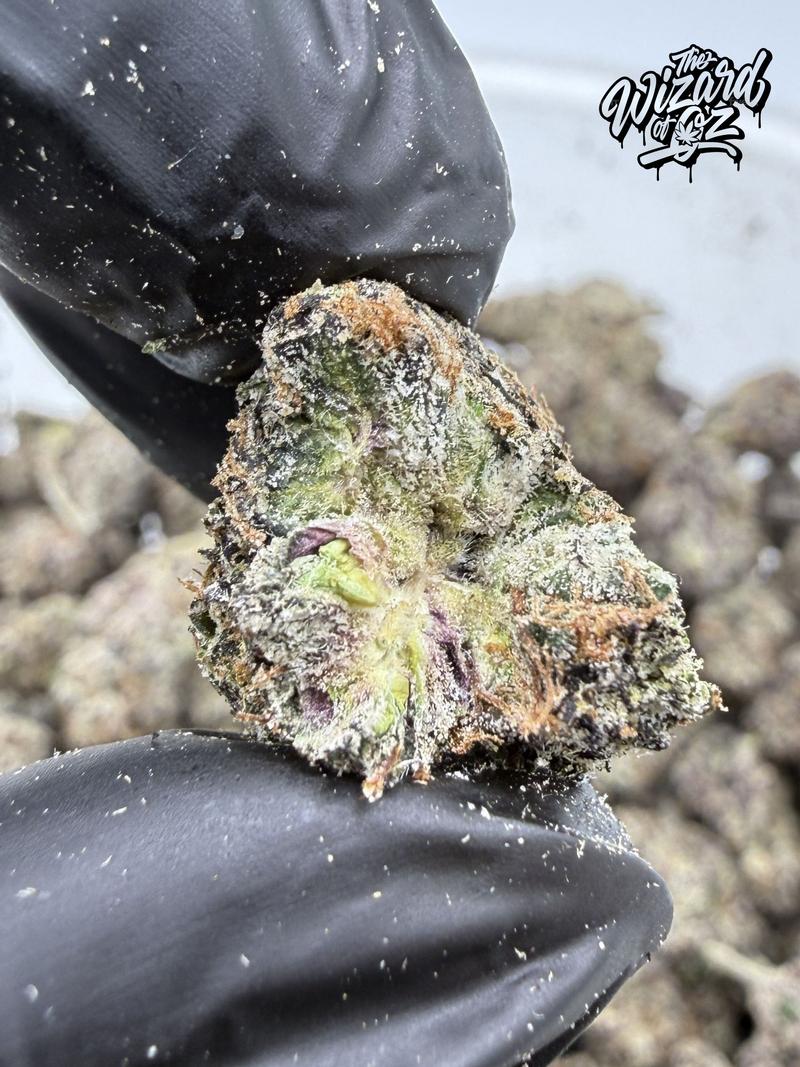 Boutique Exotix Strain: Lemon Dior