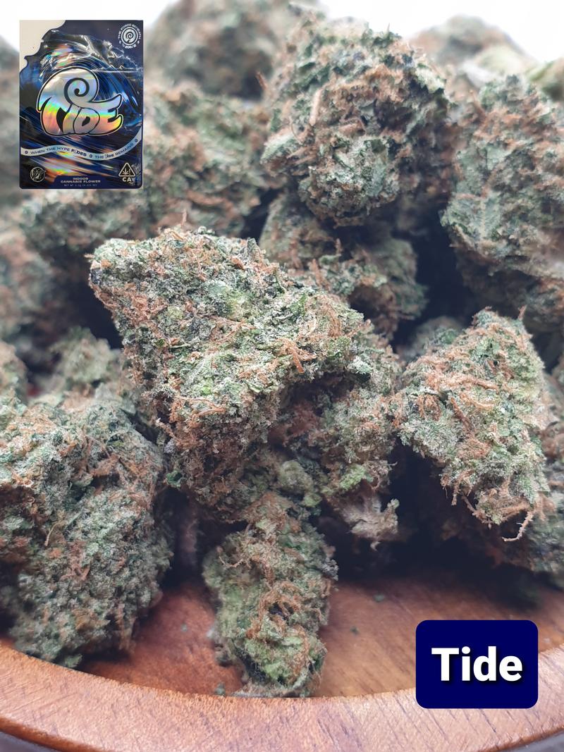 [Exclusive] Top Shelf Cali