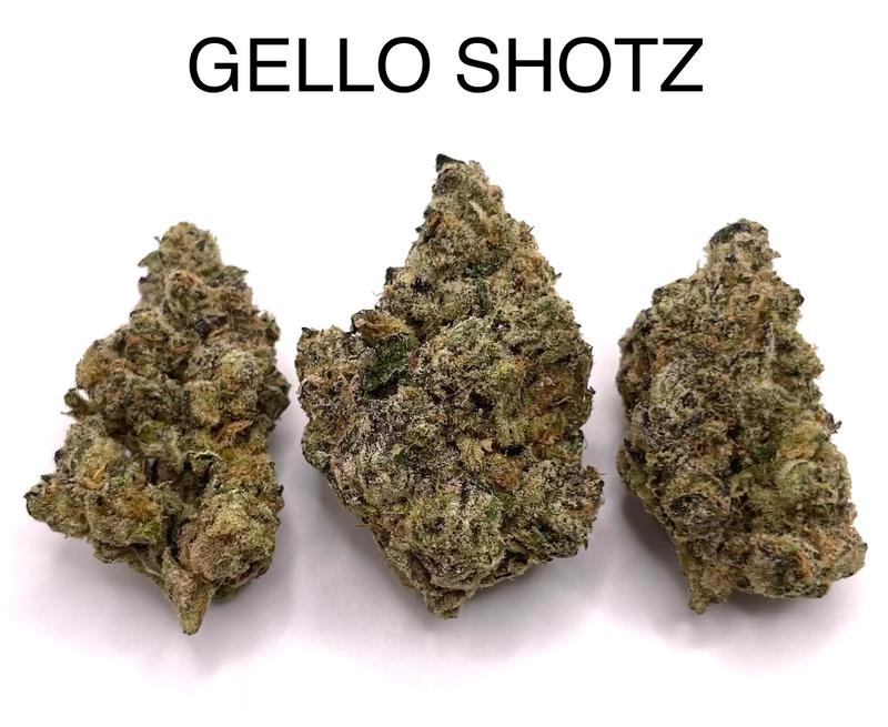 GELLO SHOTZ (TOP SHELF)