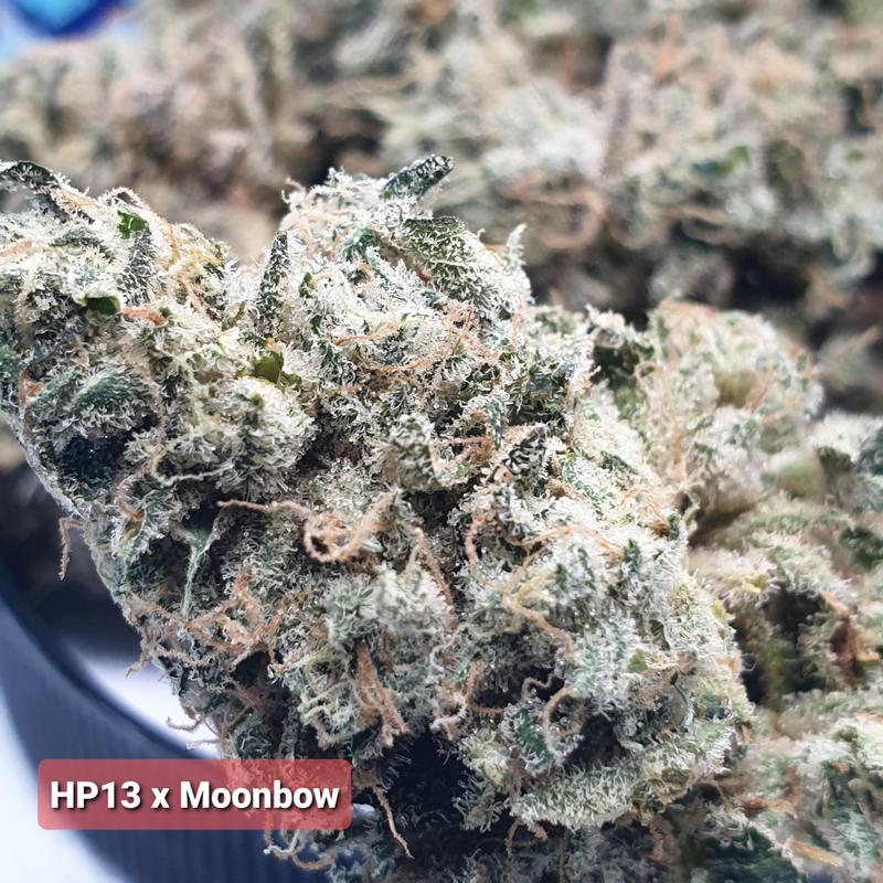 [Exclusive] Top Shelf Cali