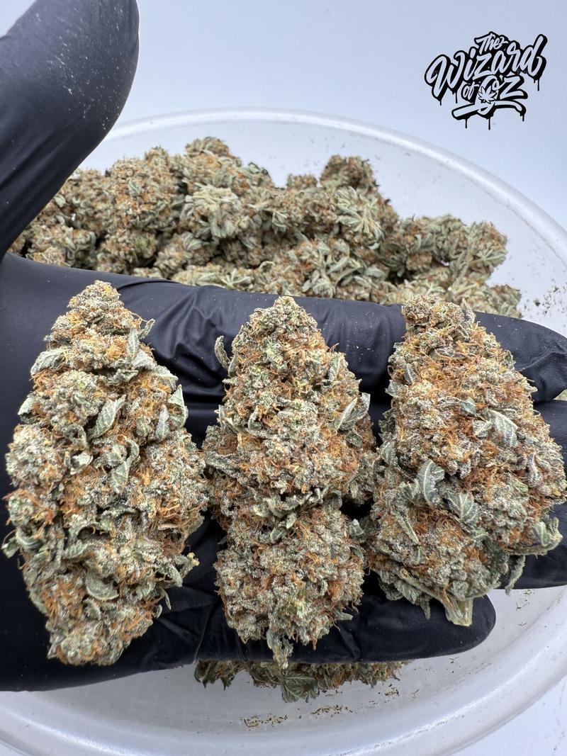 Star Dawg โฝ ๐
