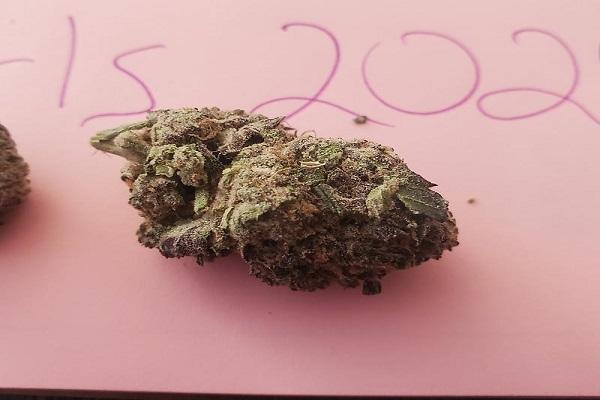 Citrus Kush (Top Shelf)