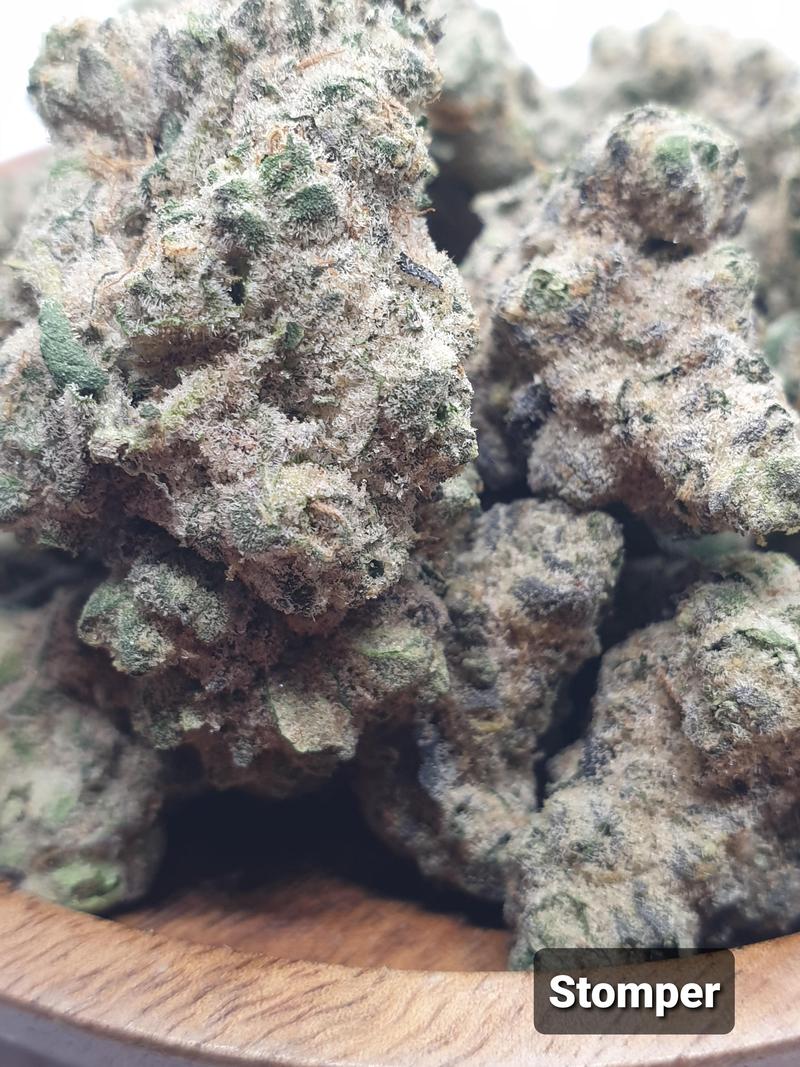 [Exclusive] Top Shelf UK