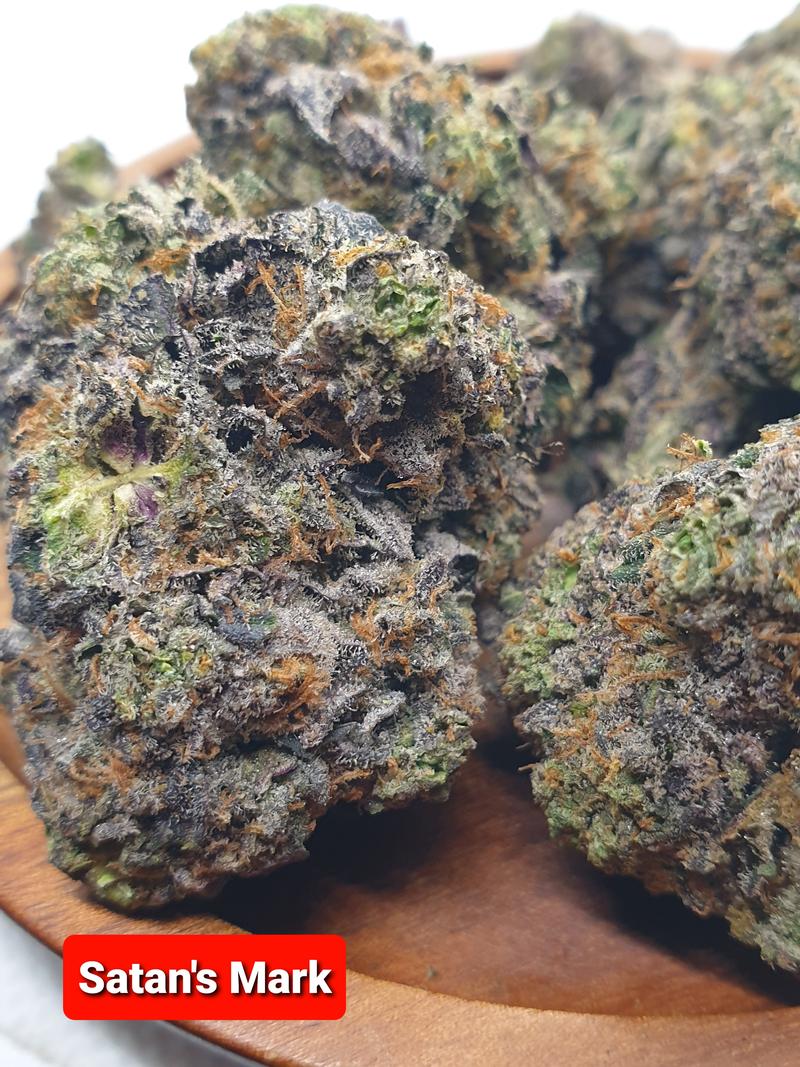 [Exclusive] Top Shelf UK