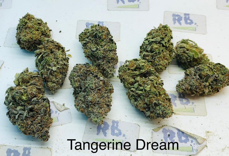 TANGERINE DREAM