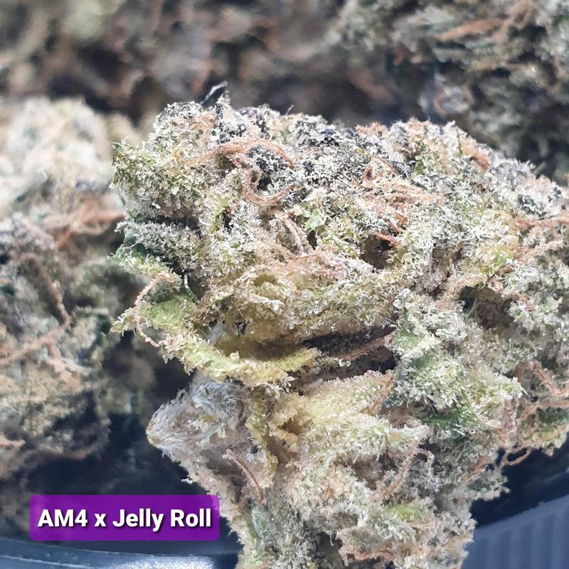 [Exclusive] Top Shelf Cali
