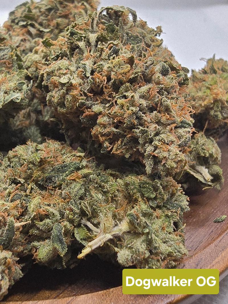 Organic living soil flower