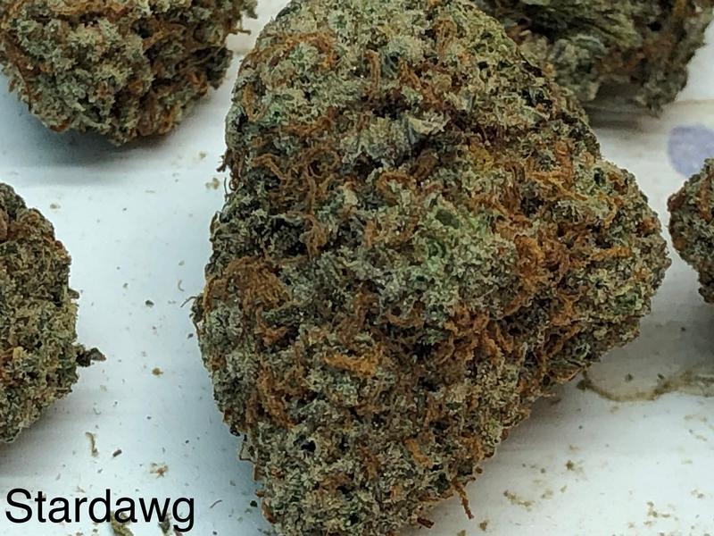 STAR DAWG GRADE A+
