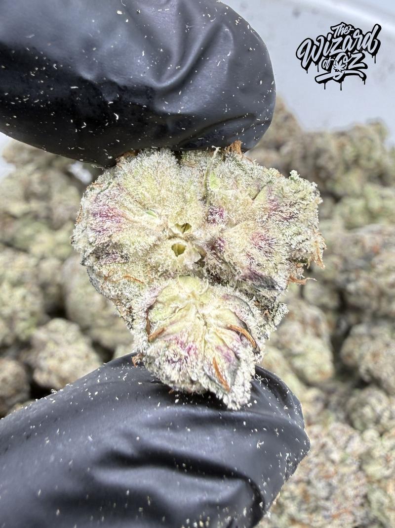 Teds Budz Strain: Pegasus Poop