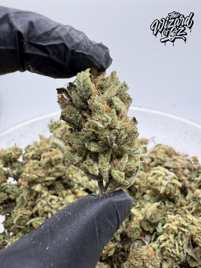 Amnesia Haze 😵💫🌌