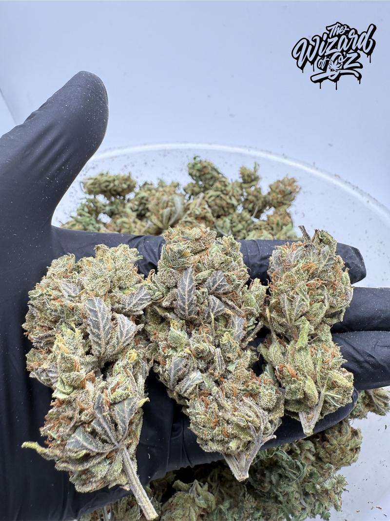 Amnesia Haze 😵💫🌌