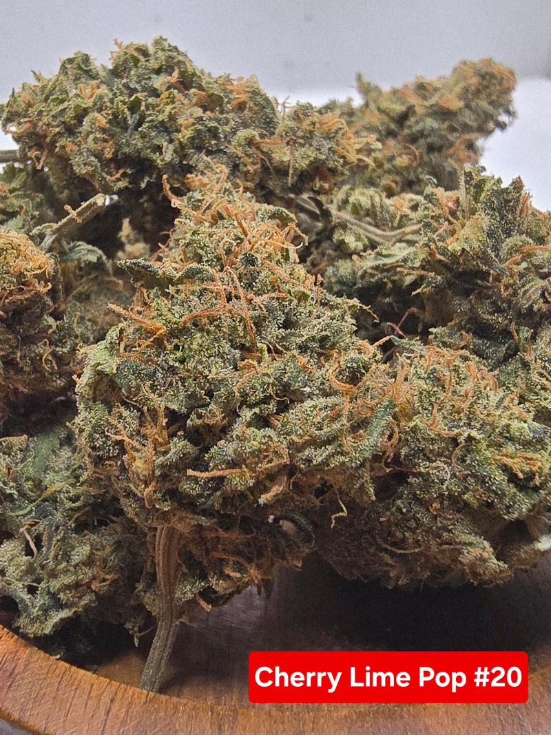 Organic living soil flower